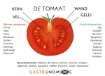 tomaat_2.jpg