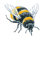 FE_Geurts_hommel.png